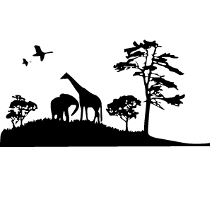 Out of africa 