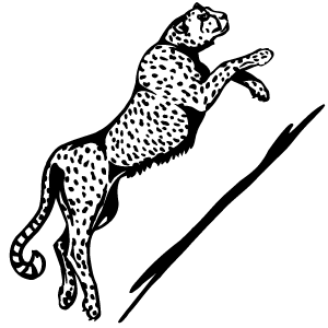 Le jaguar